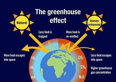 Human Impact on Greenhouse Gas Effect