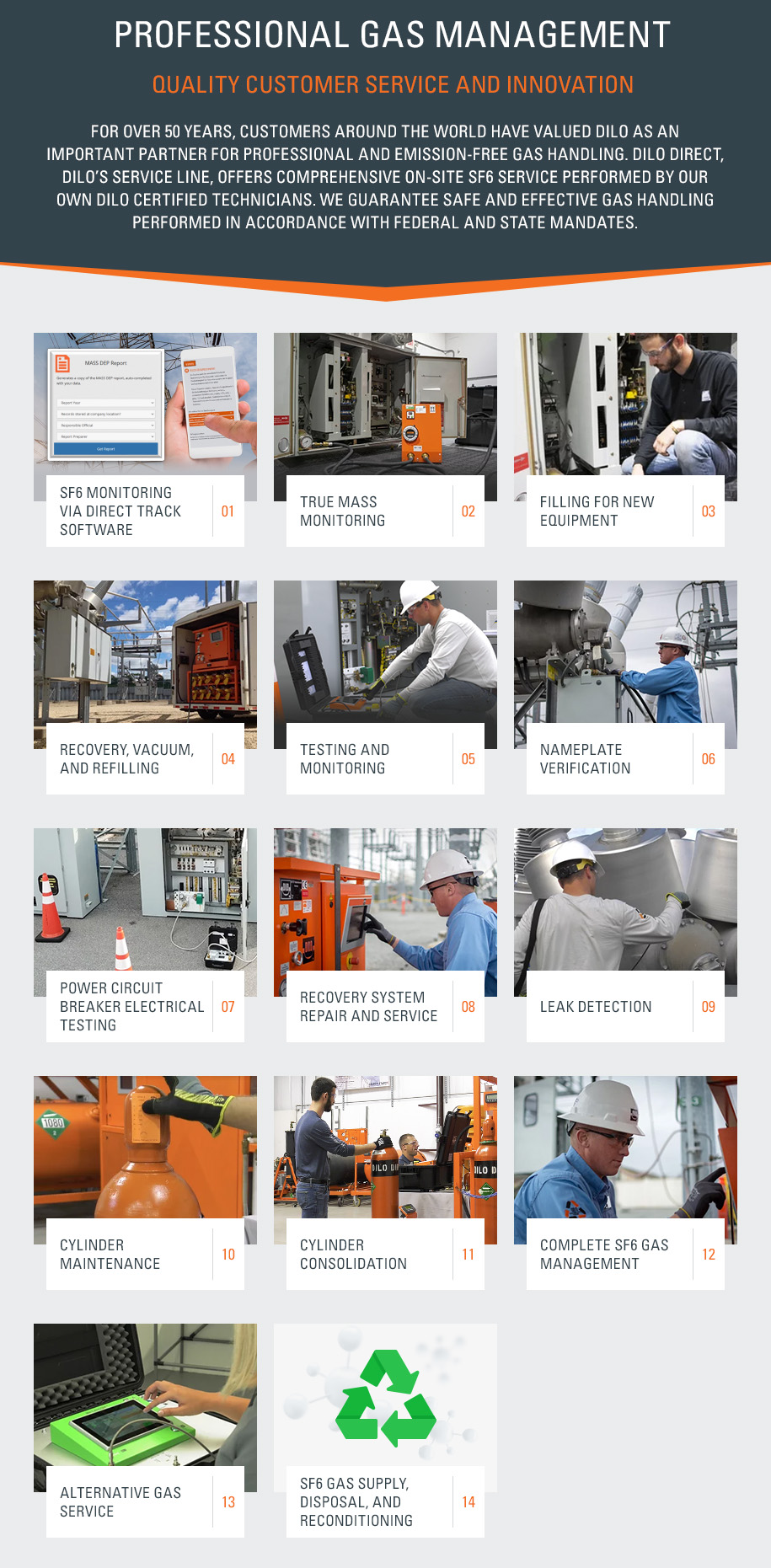 DILO Direct Service Line- SF6 Gas Handling Services